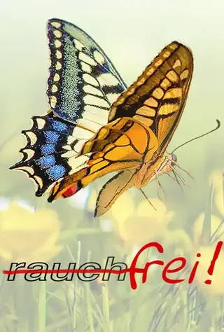 Die Metamorphose vom Raucher zum Nichtraucher - werden Sie rauchfrei - Praxis für Veränderungscoaching - Angst- und Panikhilfe